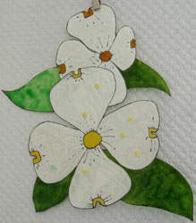 lilipop