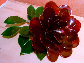 lymea1