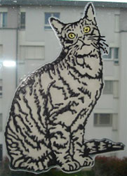 Mmaya
