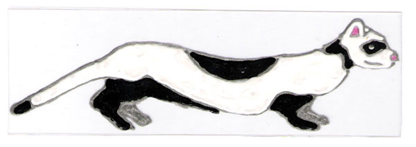 petitepuce
