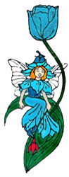 petitepuce